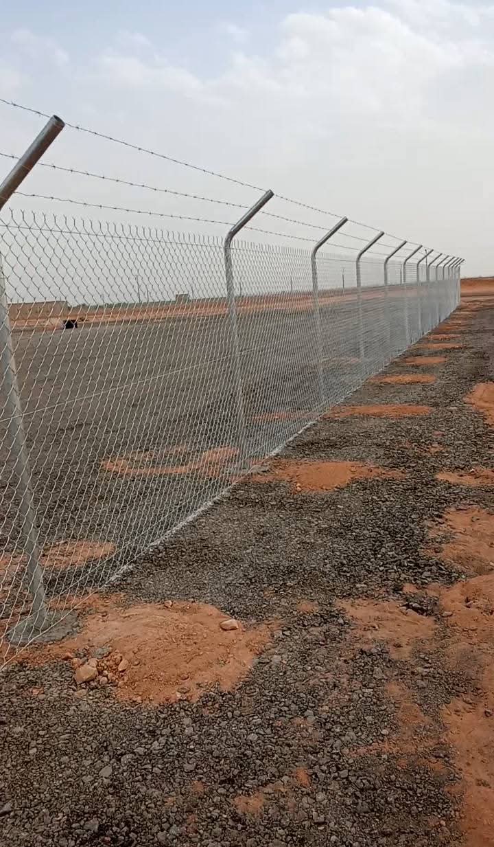 شبك